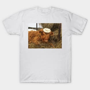 Scottish Highland Cattle Calf 1945 T-Shirt